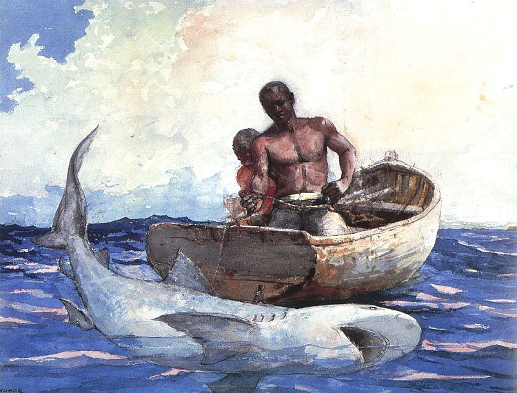 Winslow Homer Shark Fishing France oil painting art